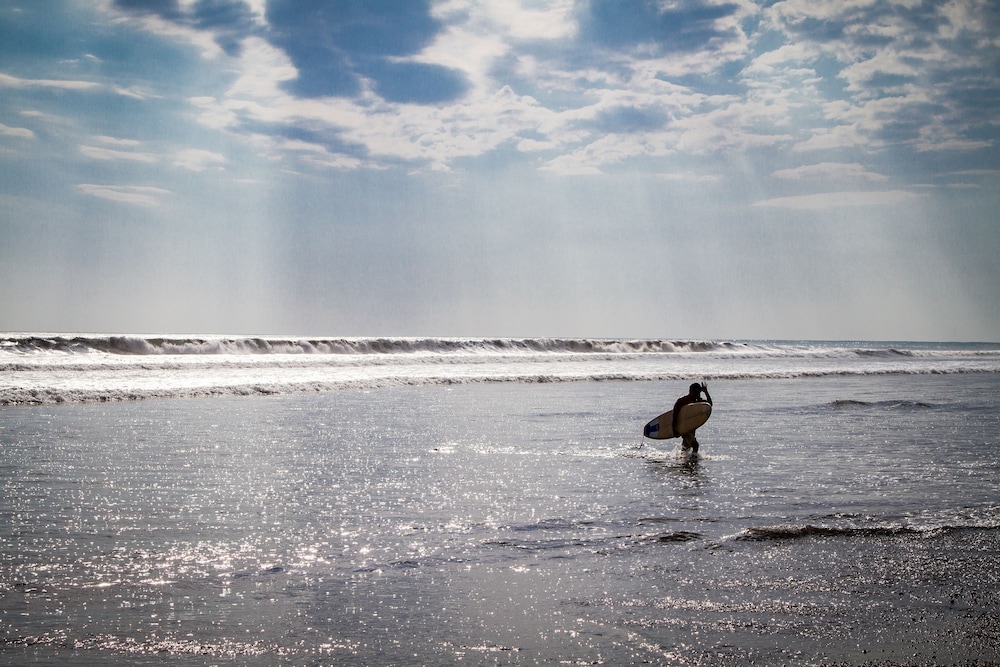Miguel Surf  Camp