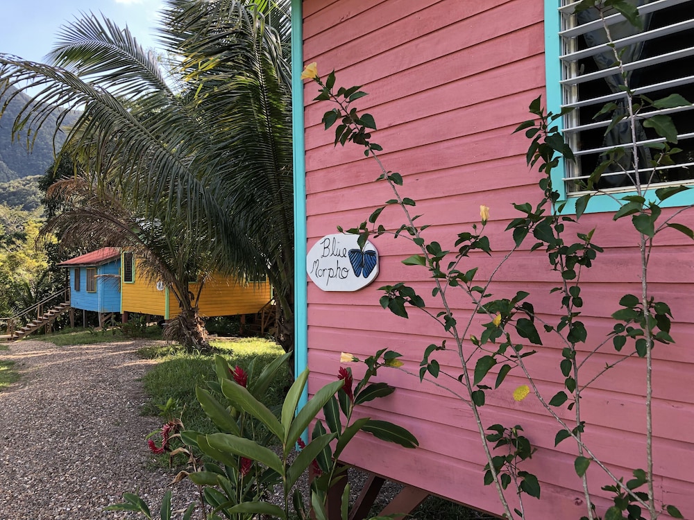 T.R.E.E.S Research Center and Eco Lodge view 4