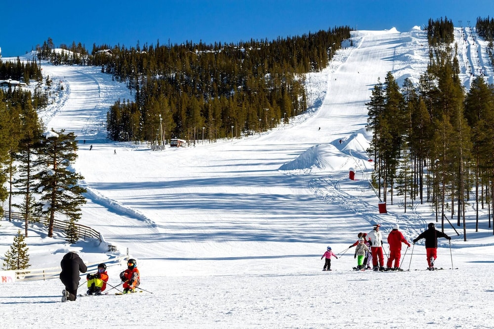 Luxury Holiday Home, Skiing, Sauna, Remote Office