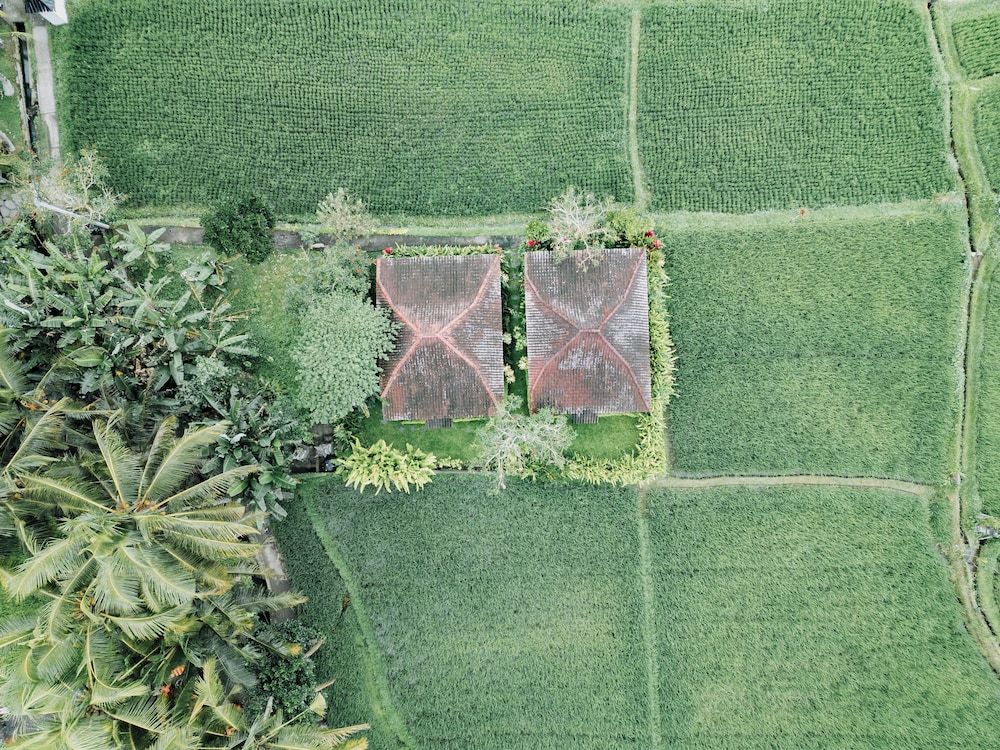 Umadesa Ubud