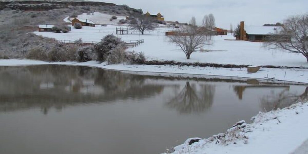 Pumula Guest Farm