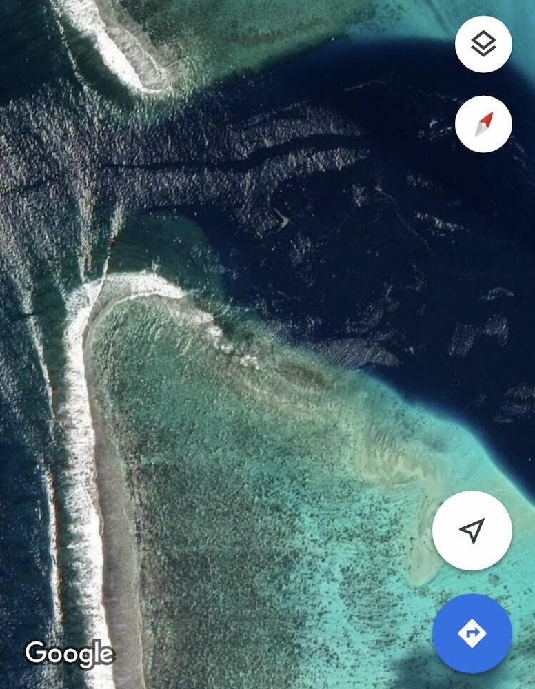 Heimanarii Walker Paoa view 5