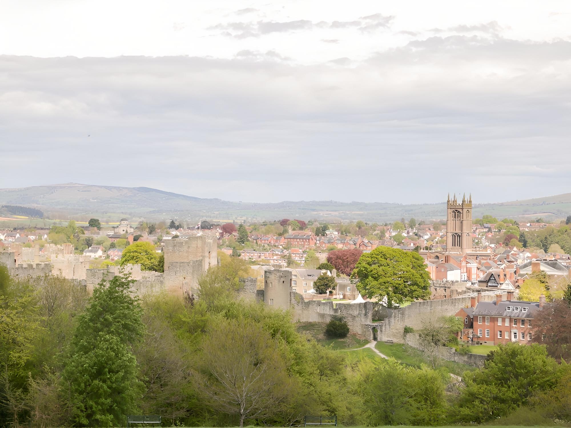 Photo 21