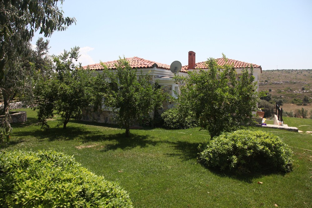 Mavi Karga