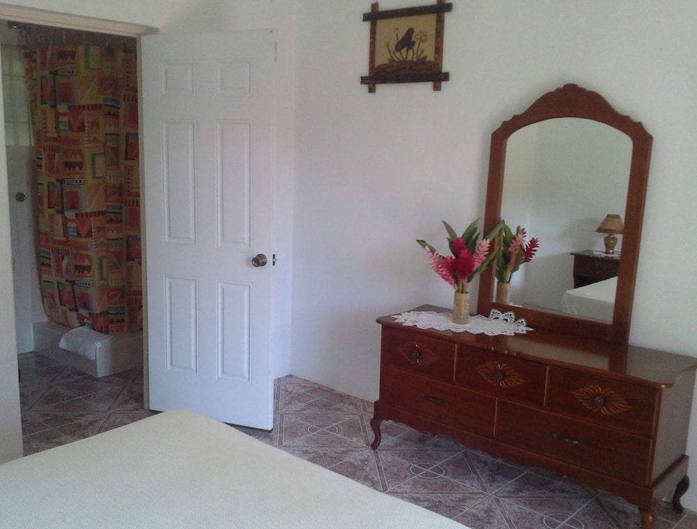 Port Antonio Vacations - Polish Princess Guest House - Property Image 2