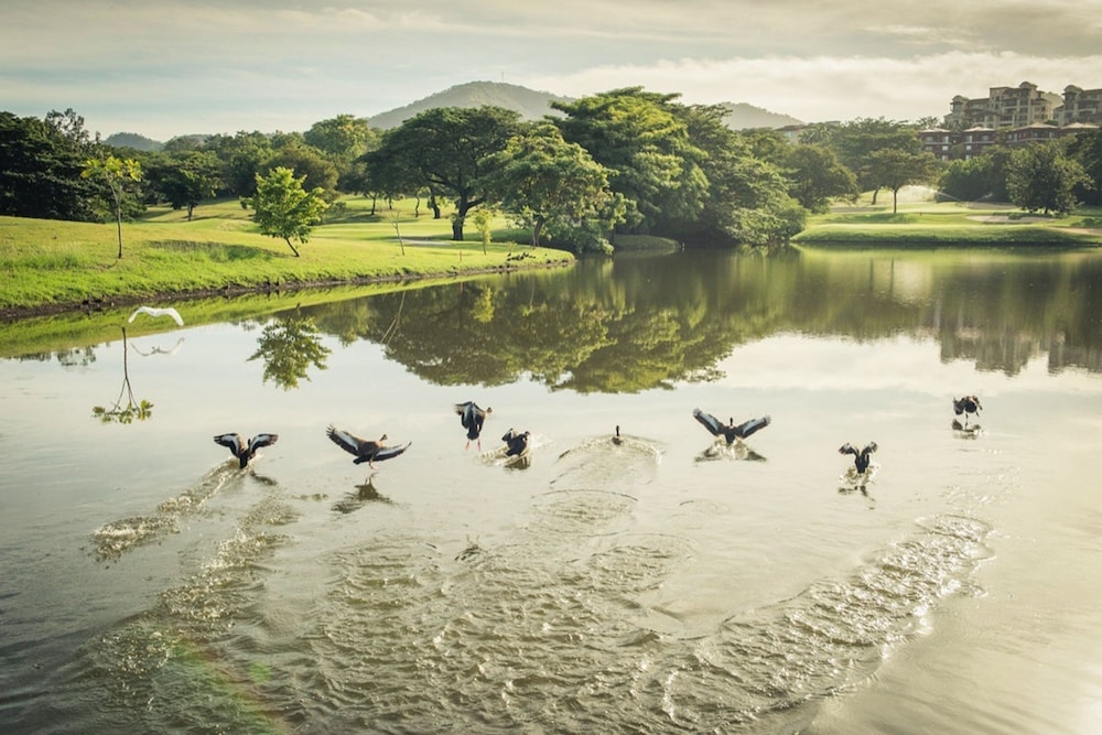 The Westin Reserva Conchal, an All-Inclusive Golf Resort & Spa 38