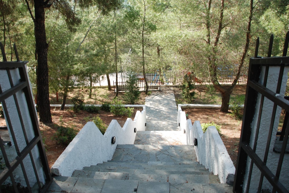 Photo 42