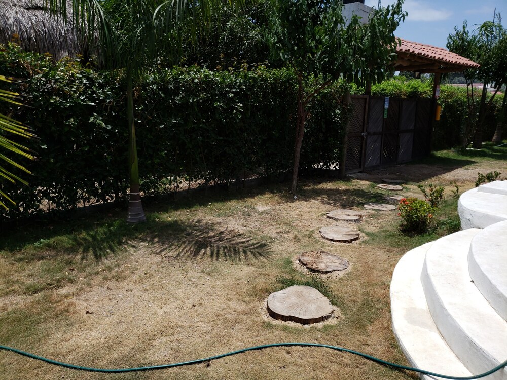 Photo 42
