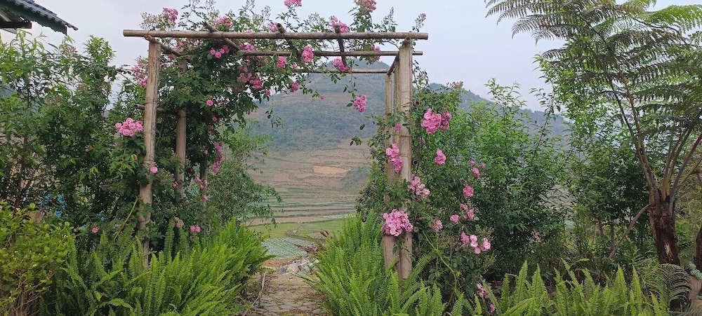 Lý Gia Homestay