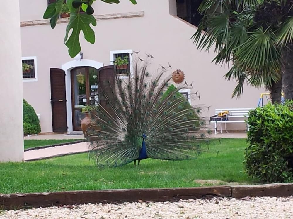 Agriturismo La Contea By Bice