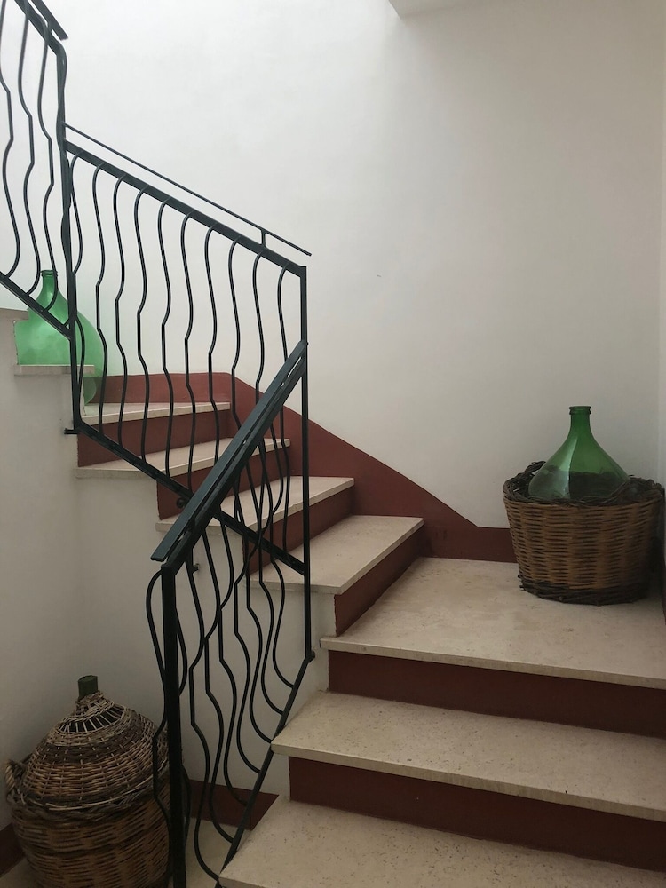 Tenuta Belvedere