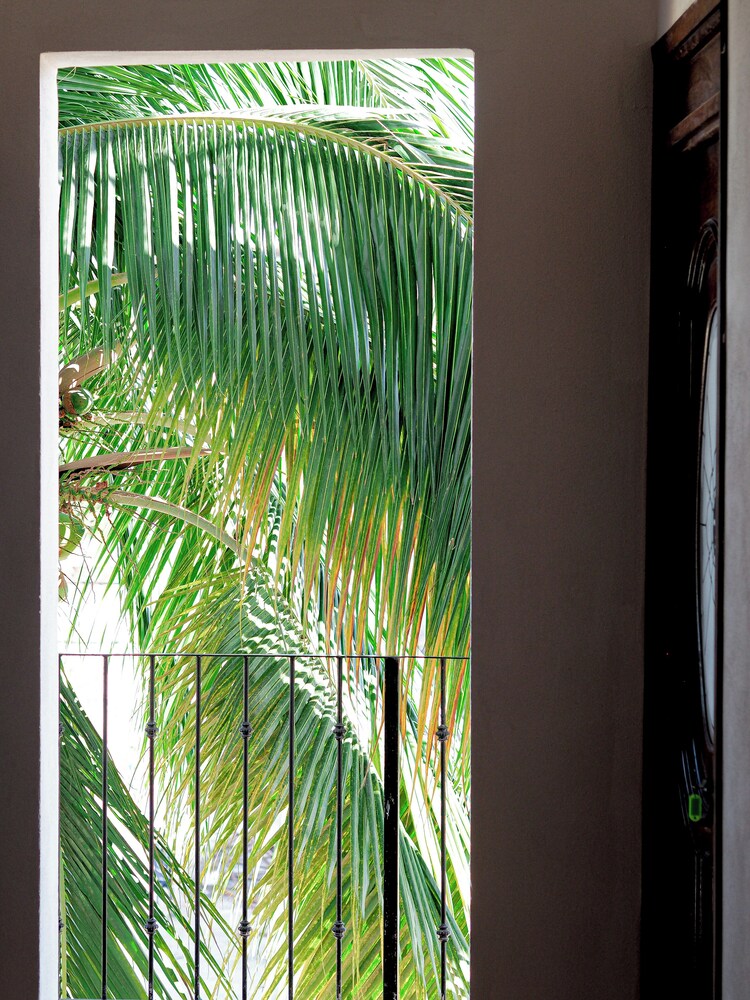 Hostal Los Gonzalez