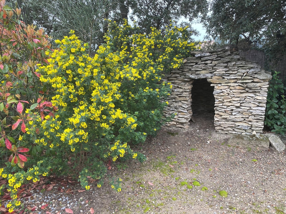 Photo 42