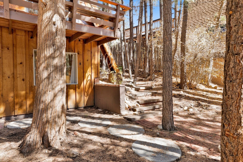 The Wilkie Cabin #339