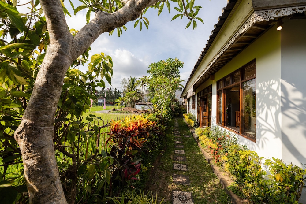 Devi's Place