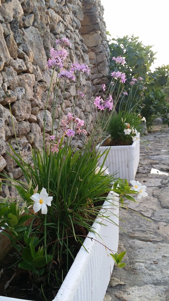 Tenuta la Siesta