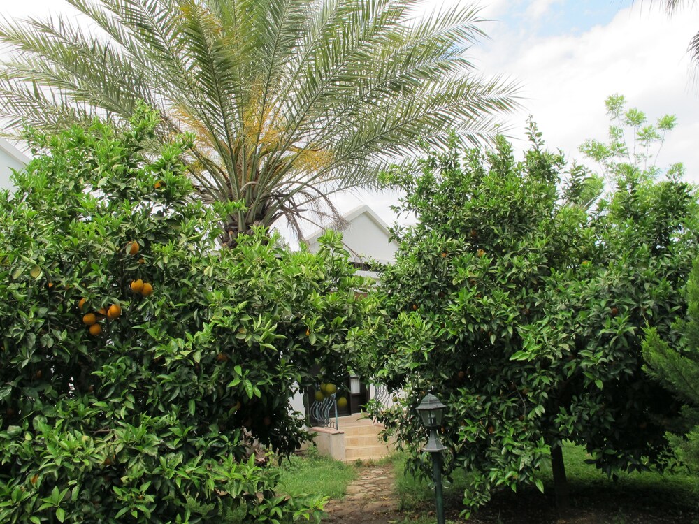 Hemerans Anatolia Otel - Image 43