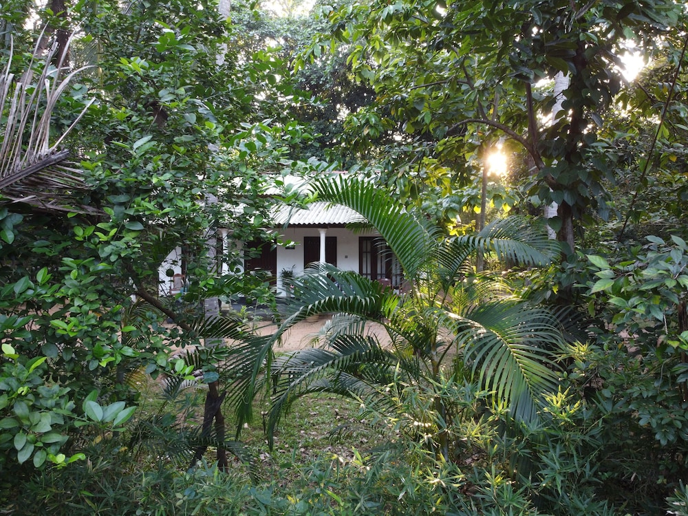 Venus Paradise view 4