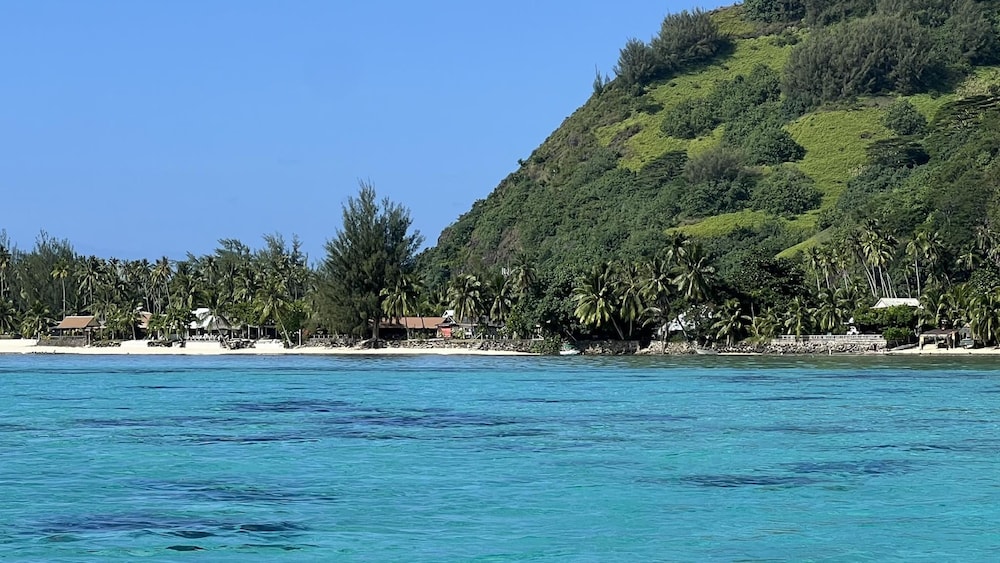 Moorea - Tropical Nest