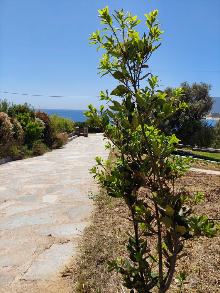SkiNAmmos Eco Villas