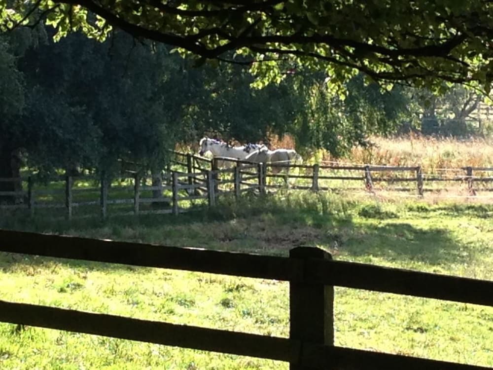 Grange Farm Bed & Breakfast