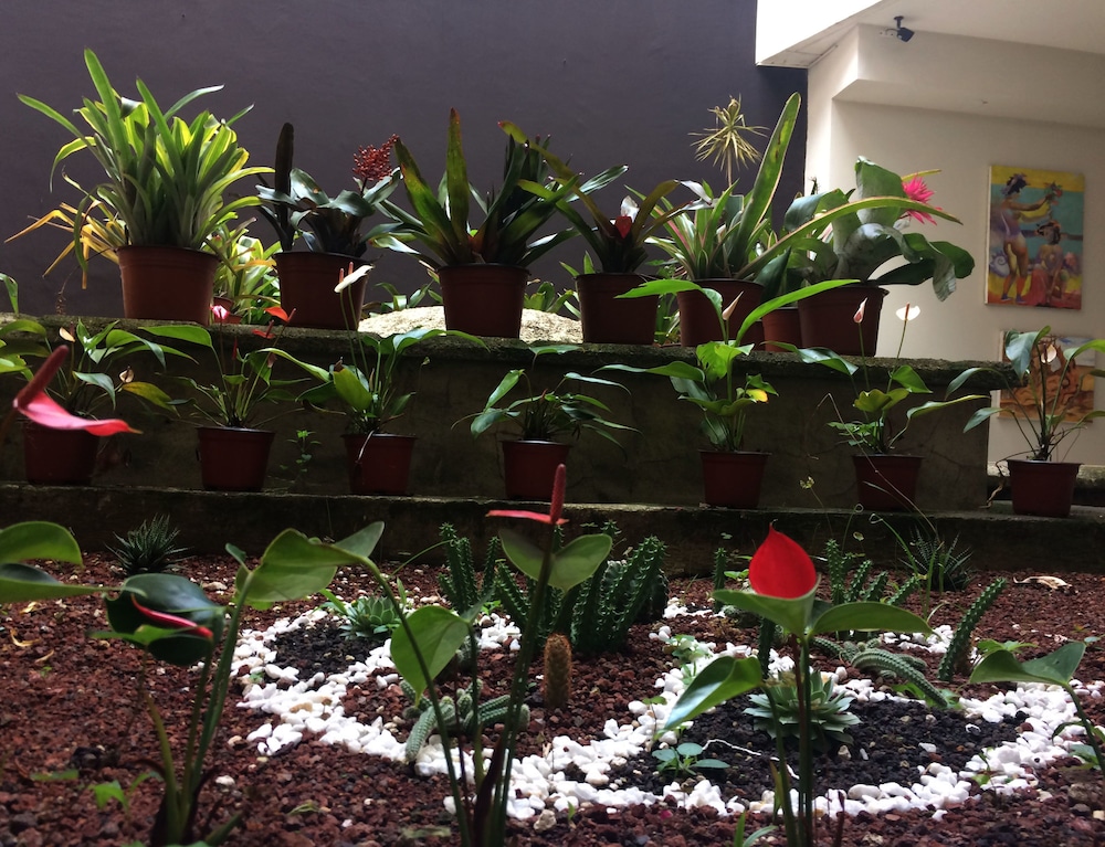 Xalapa Vacations - Terracota Suites - Property Image 9