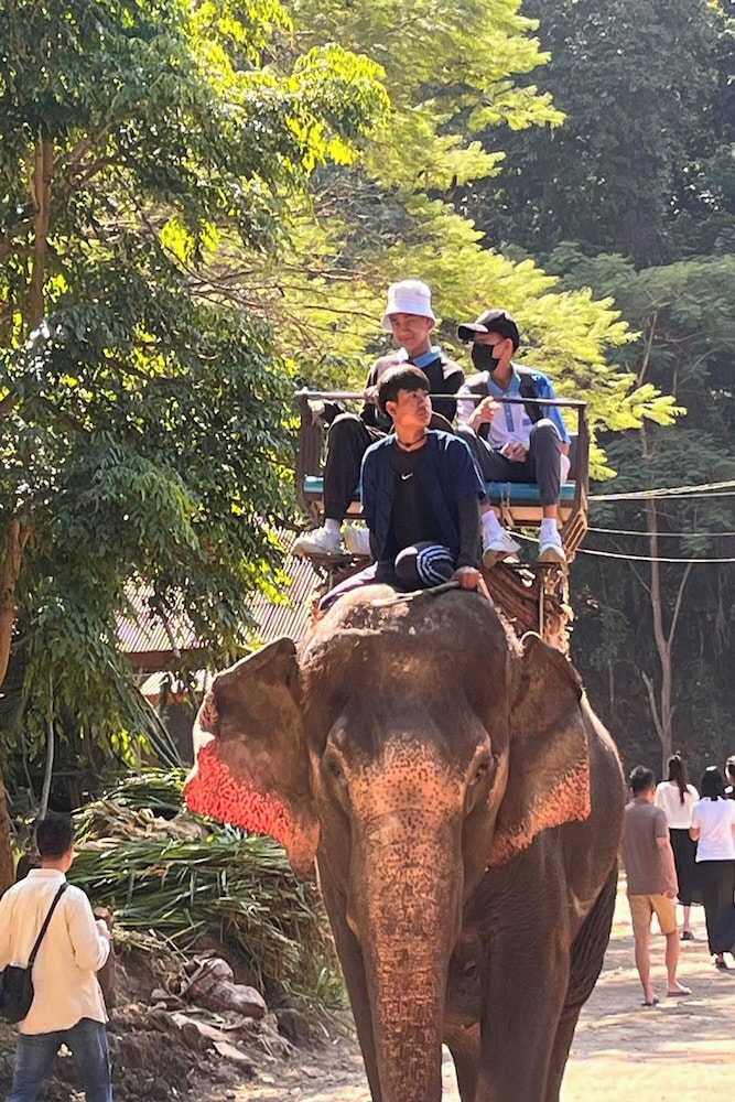 Tung Lakorn Farm