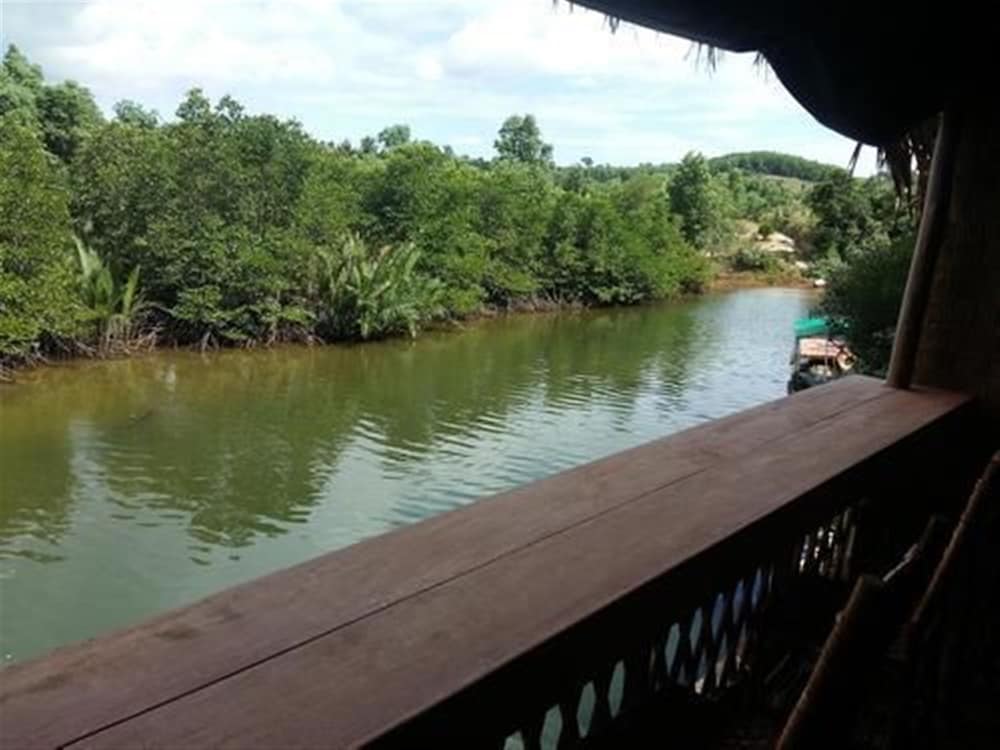 Mangroves & More