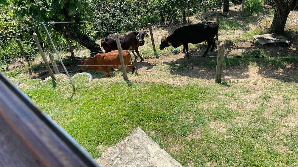 Finca Recreativa los Altos Giraldos