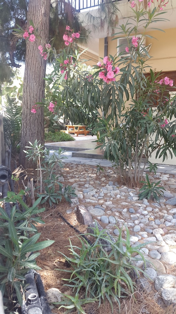 Stelios Rooms