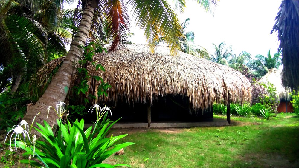 Photo 12