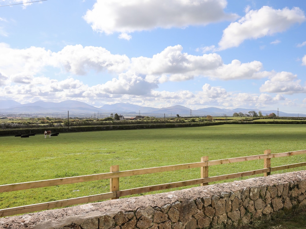 Mynydd Mwyn