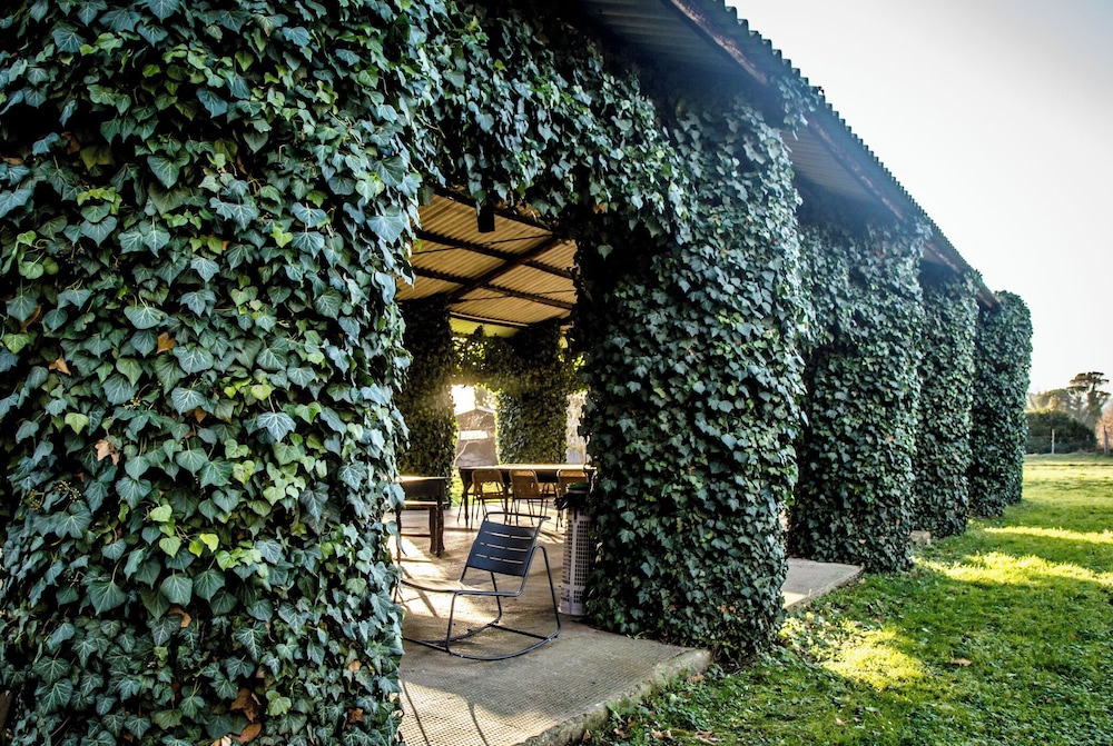 Bio Tenuta di Paganico - I Roggeti