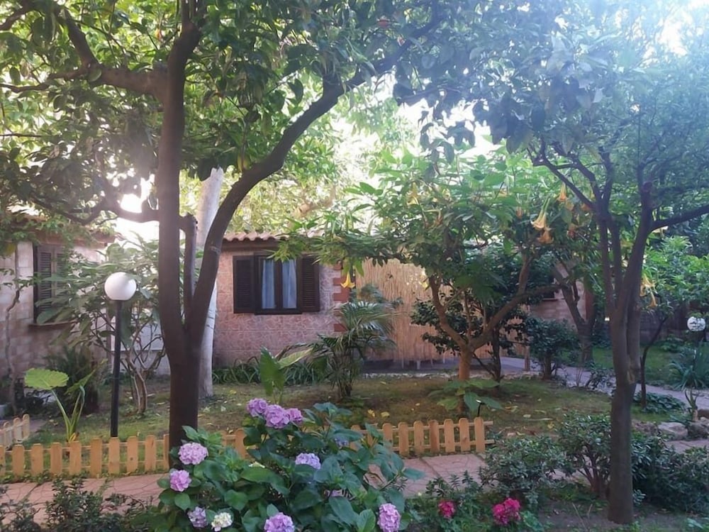 Photo 23