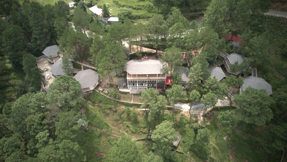 The Woods Retreat