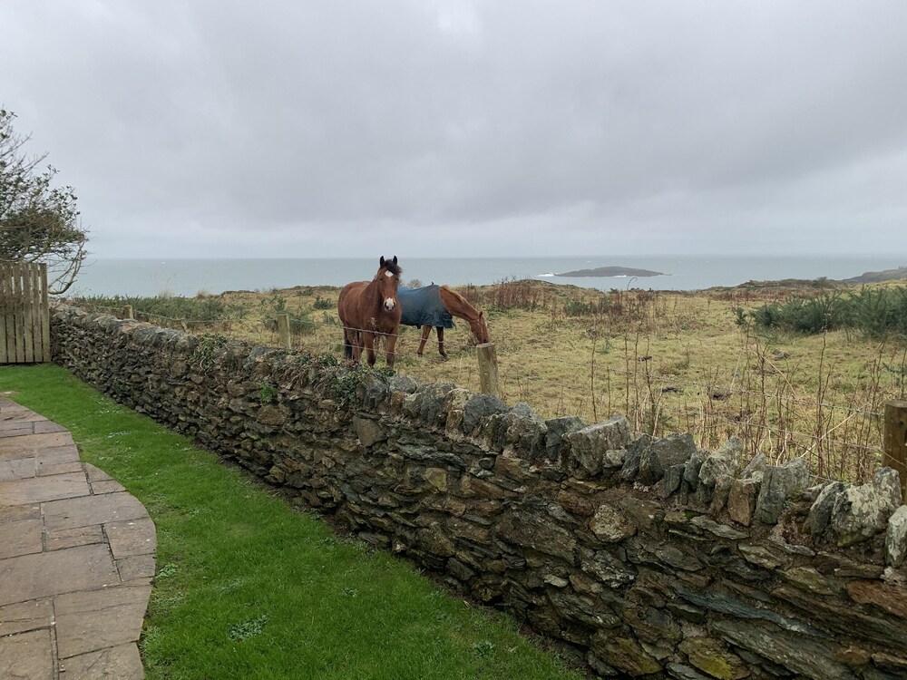 Llecyn Braf