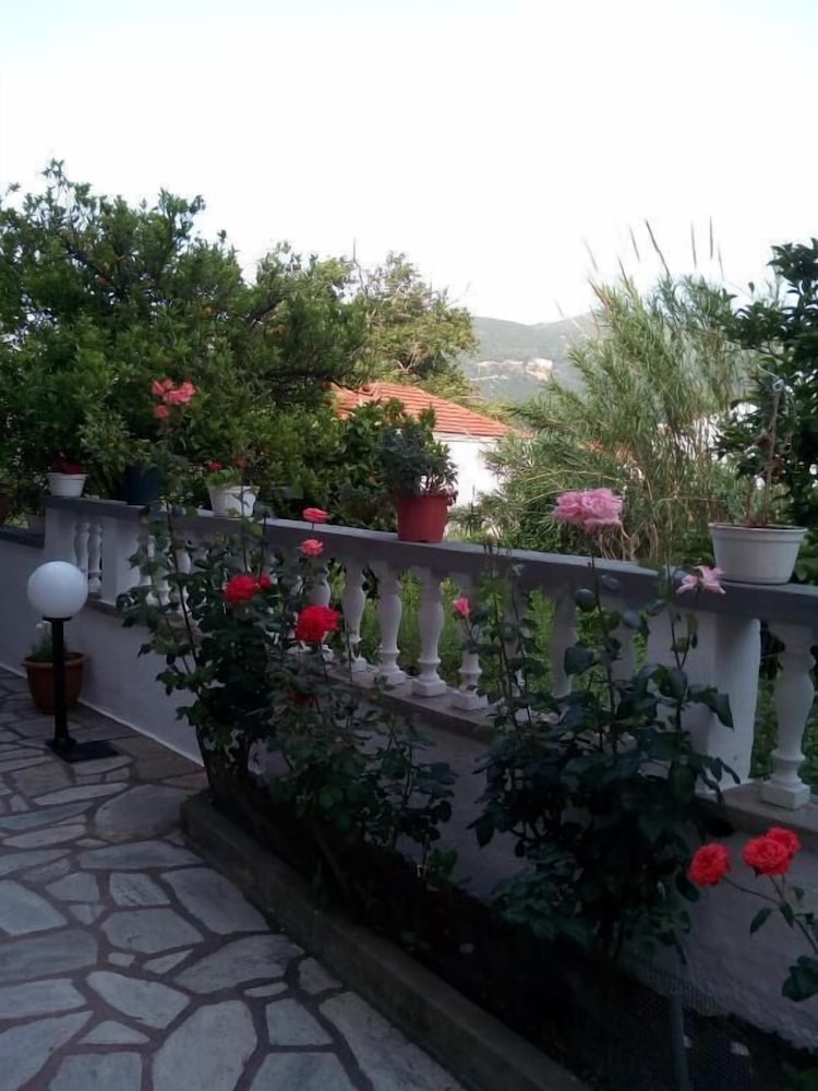 Sofia's Garden by Booking Kottas