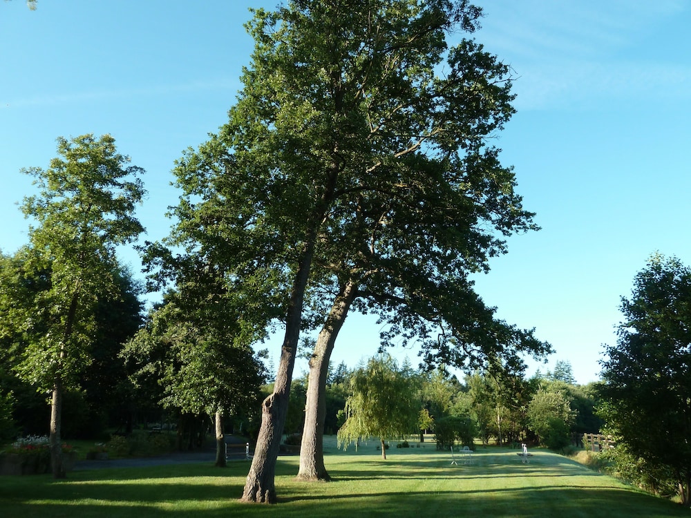 Photo 33