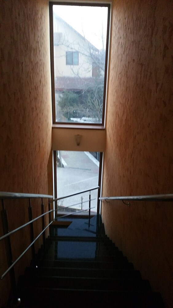 Photo 37