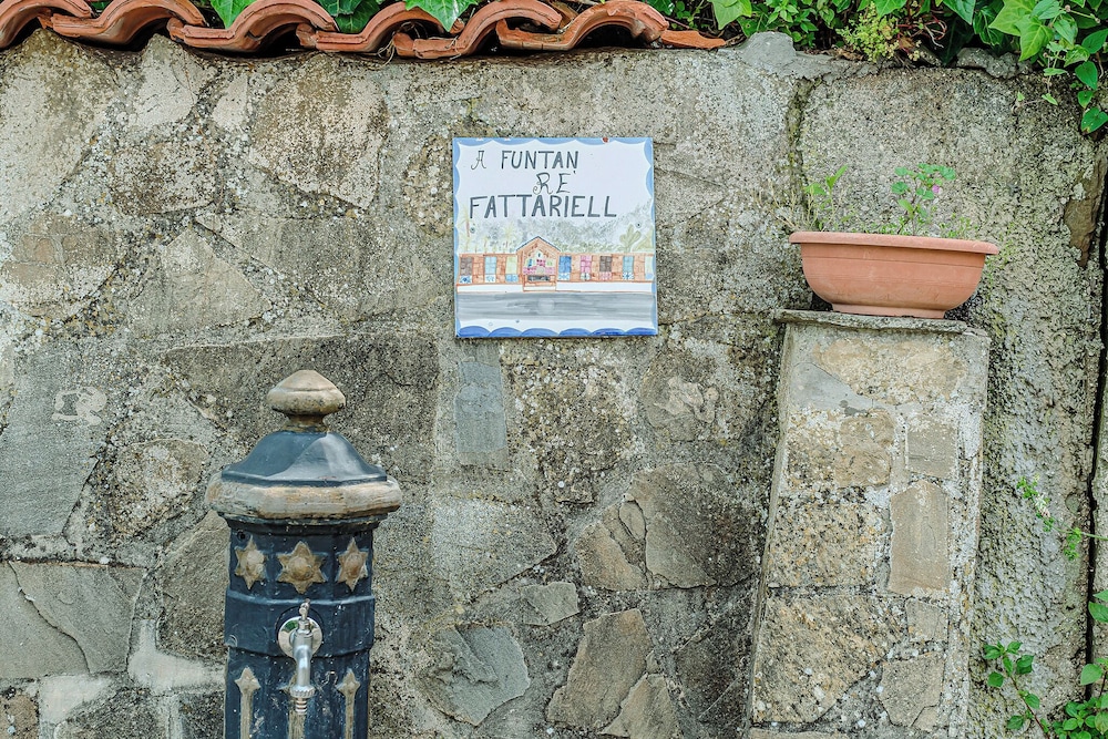 Mary's House