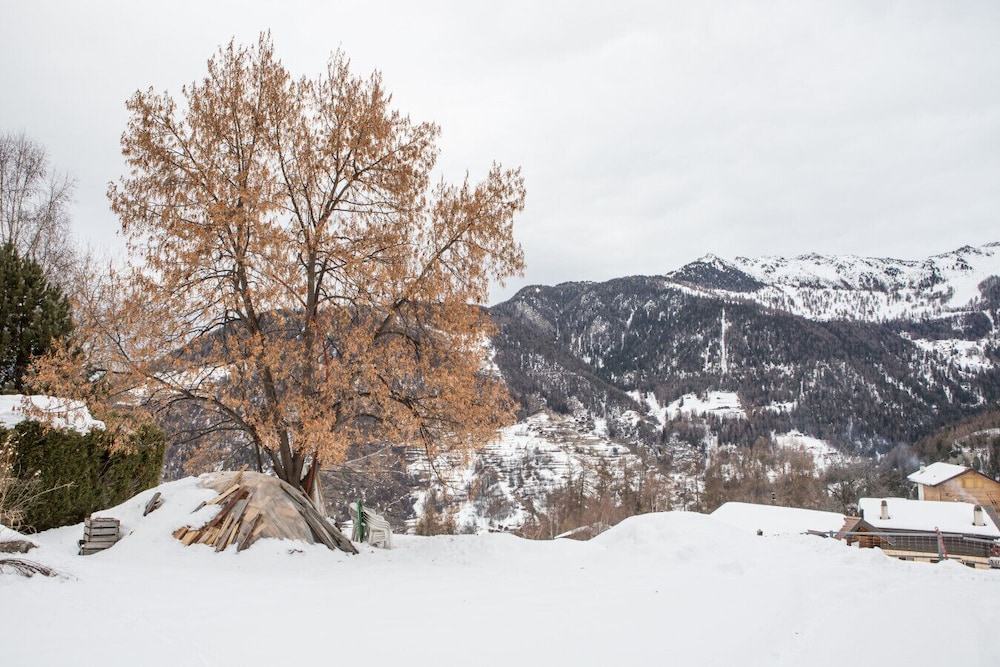 Chalet Rosaline 12 Person Beautiful Property