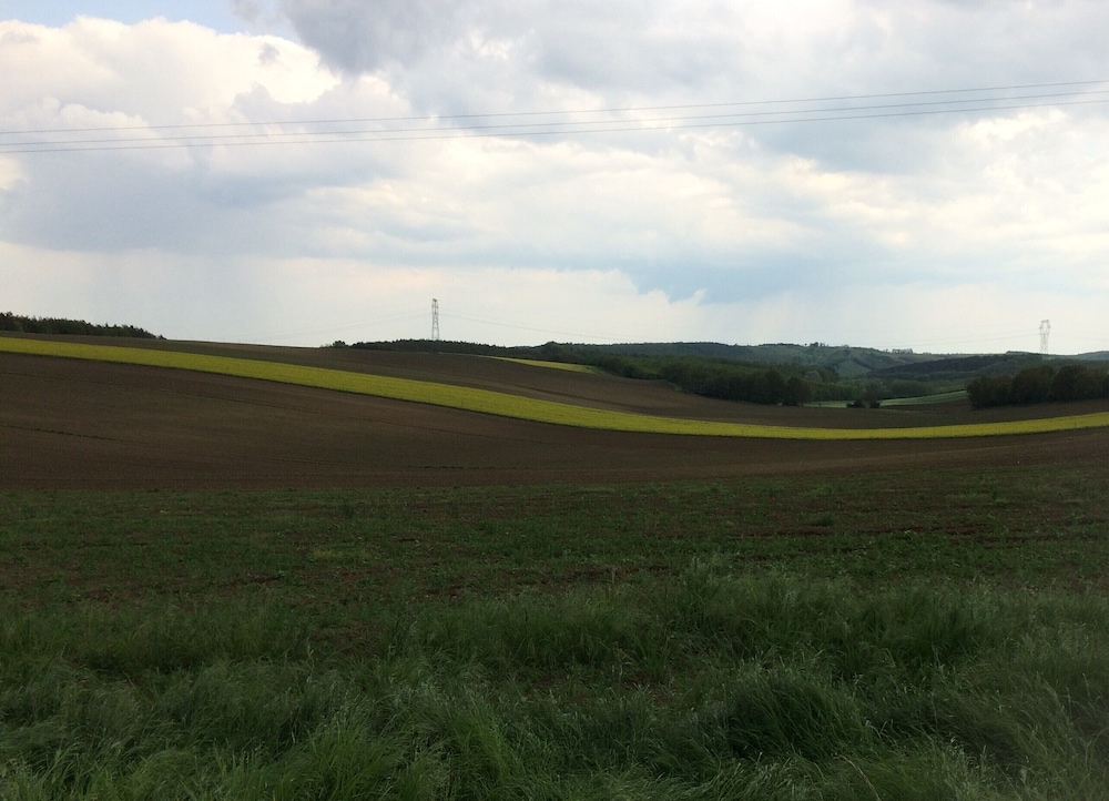 Photo 24