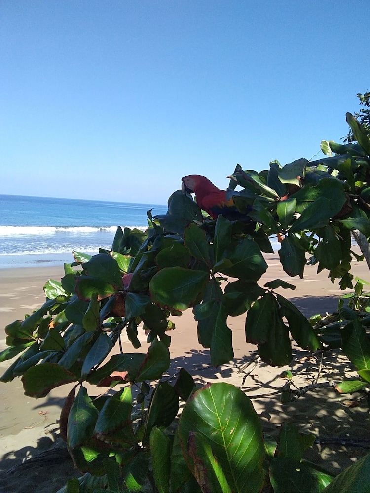 Cabinasyafethosa caletas view 4