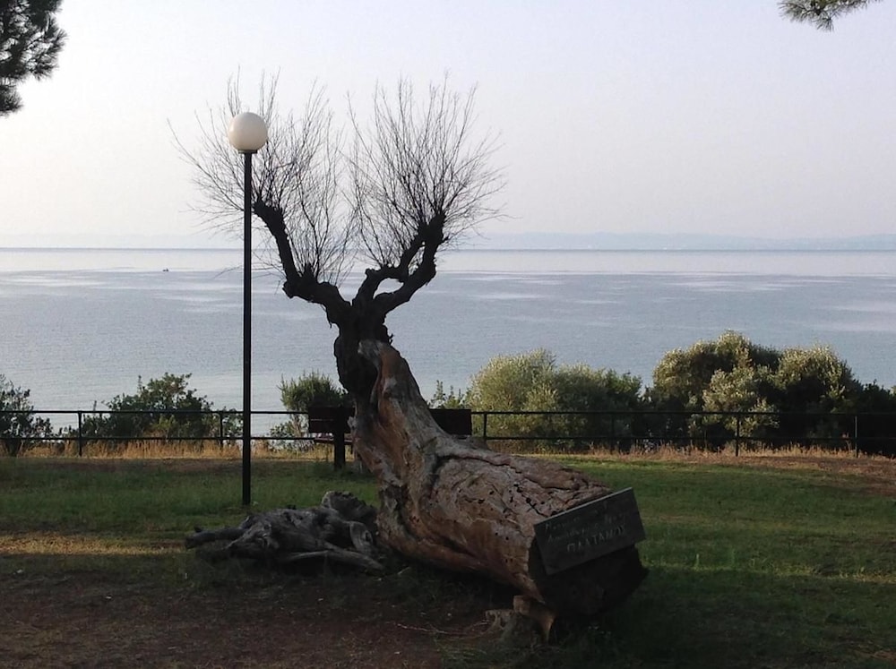 Luxury Residential Home Evangeli