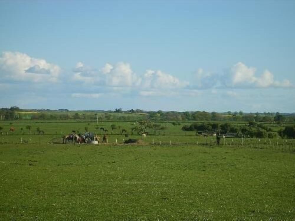Photo 45