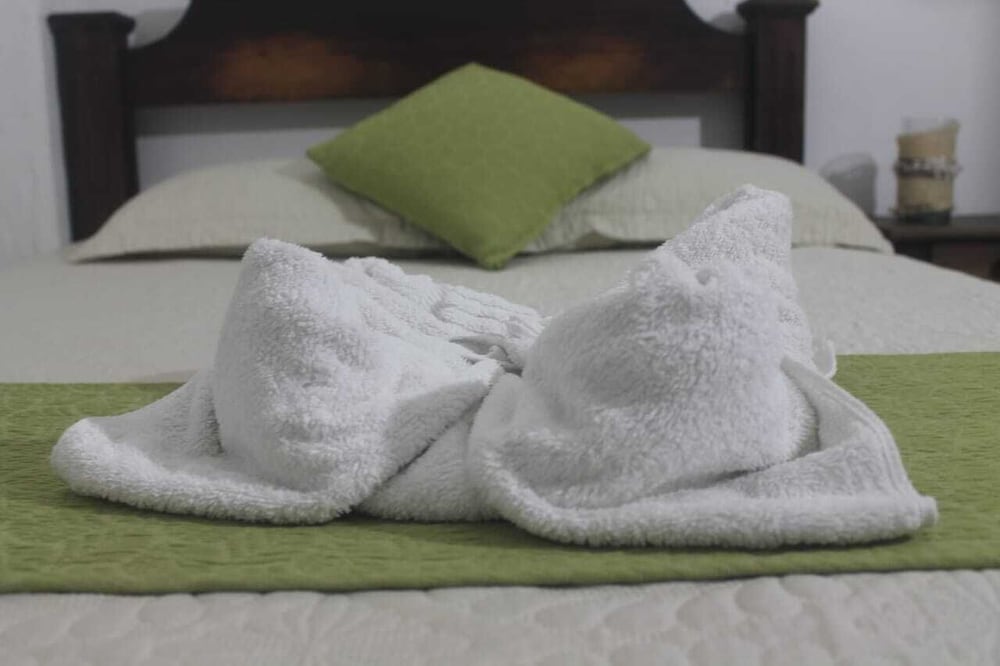 Hotel Casona real - Property Image 6