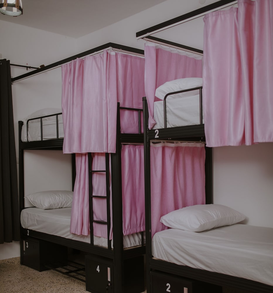 OliveTreeHostel, photo 73