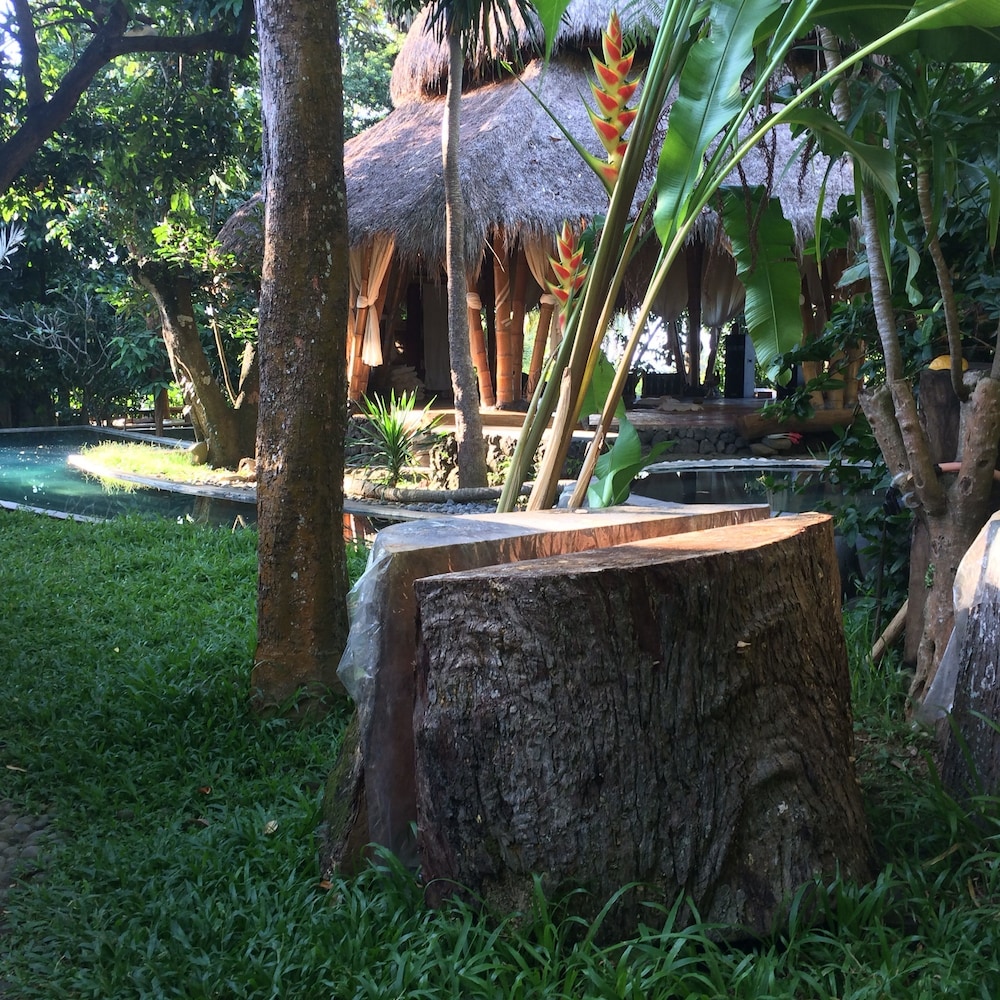 Omunity Bali