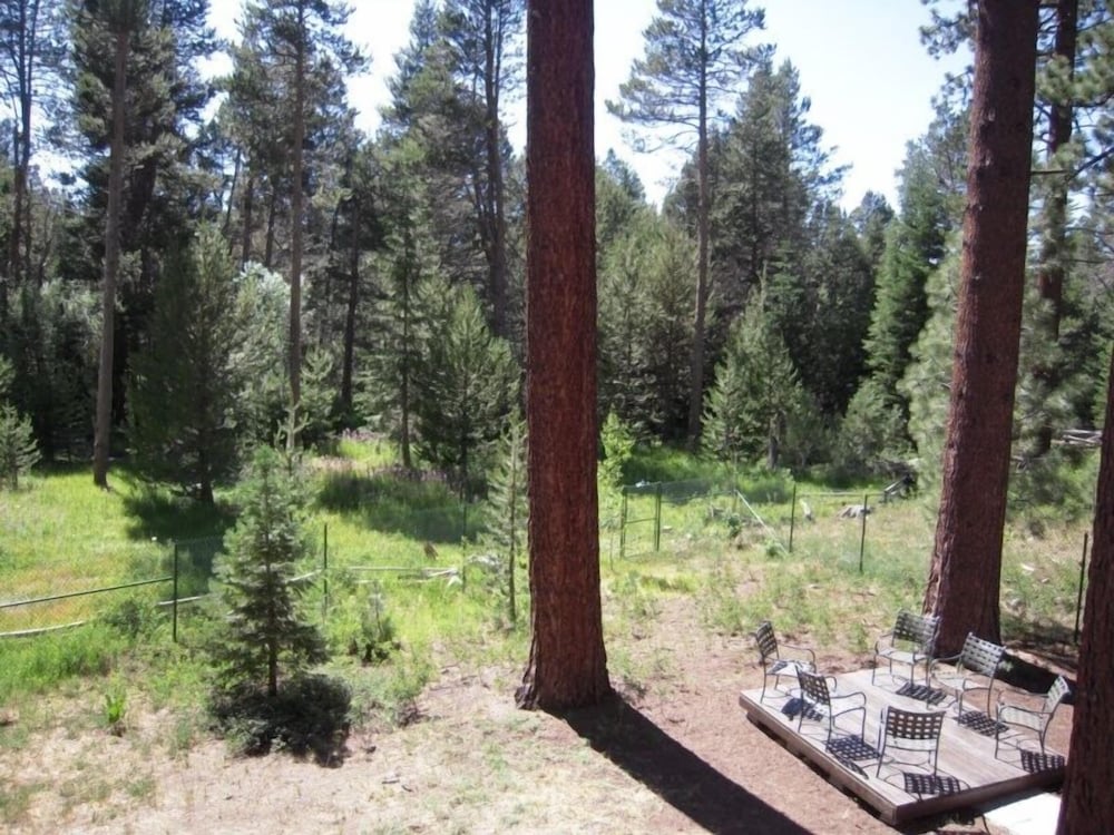 2853 Springwood Dr.