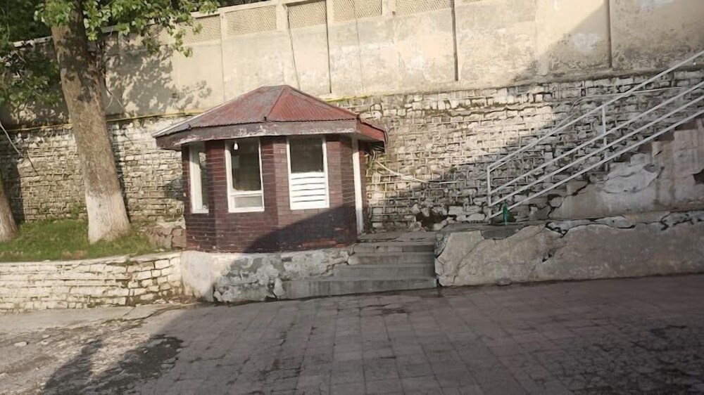 Photo 7